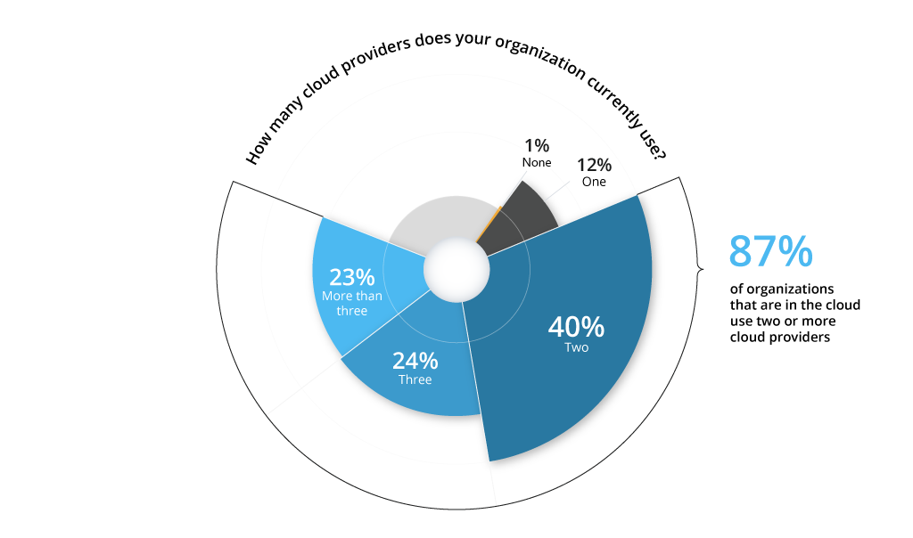 How many cloud providers organizations use